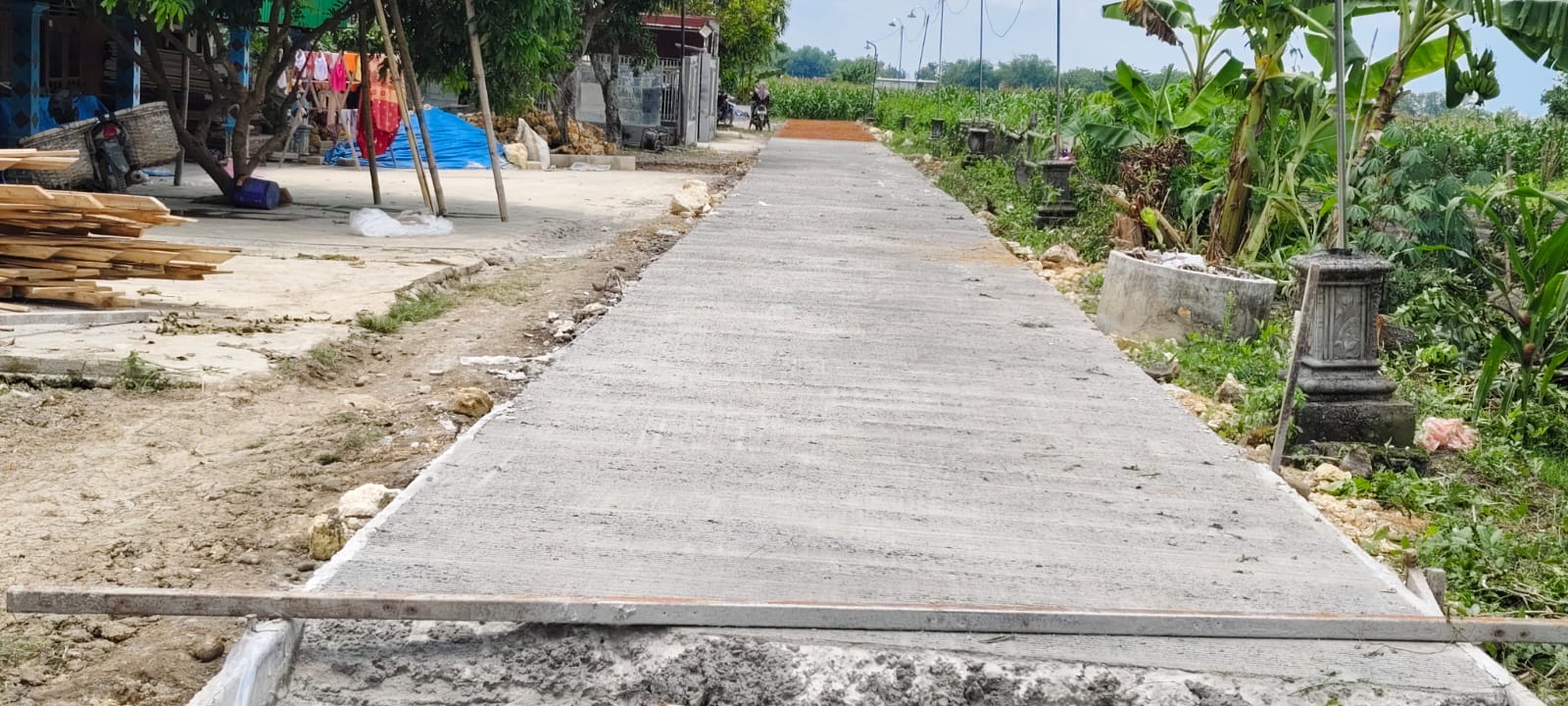 BANGUN MANDIRI &ndash; Warga Dusun Pencol RT 1 RW 3 Desa Warukaranganyar, Kecamatan Purwodadi membangun jalan kampung hasil dari iuran sendiri tanpa bantuan pemerintah.