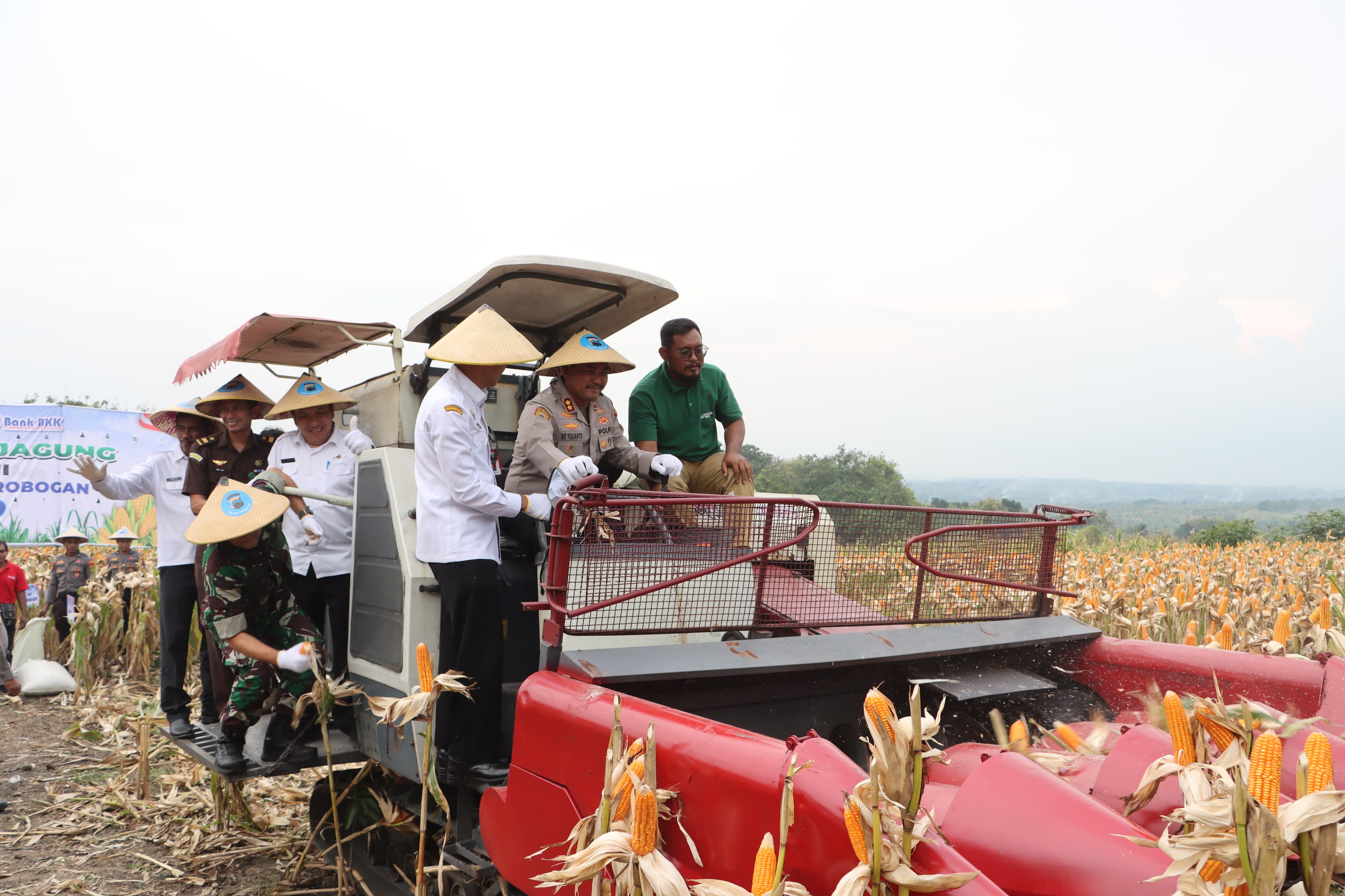 PANEN RAYA &ndash; Kapolres Grobogan AKBP Ike Yulianto Wicaksono bersama Sekda Anang Armunanto lakukan panen raya jagung di lahan seluas 274 hektare.