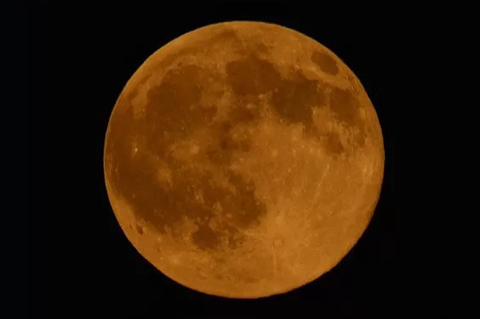 &nbsp;Ilustrasi fenomena full buck supermoon.