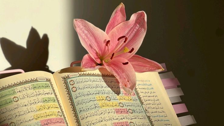 Al-Qur&rsquo;an di bawah cahaya matahari pagi.