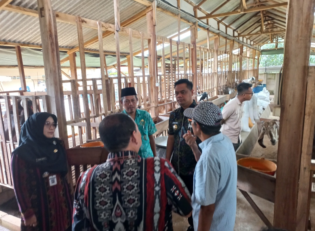 TILIK: Bupati Jepara tengah menengok peternakan kambing di Paleboer Gatra Farm pada Selasa (11/11).