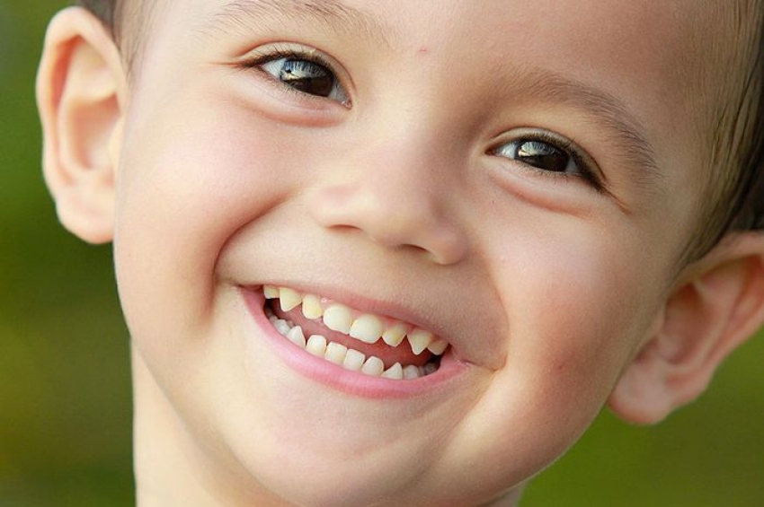 Ilustrasi Gigi Anak