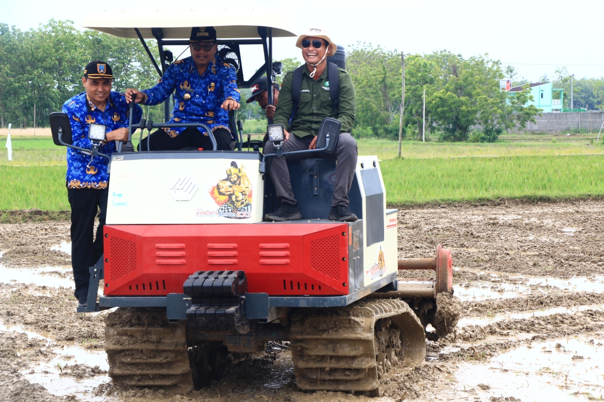 TURUN KE SAWAH: Bupati Rembang Harno didampingi Kepala Dintanpan Agus Iwan saat uji coba mesin bajak sawah kemarin.