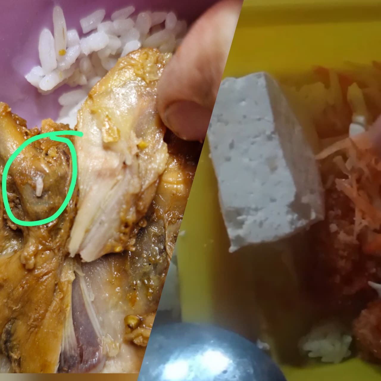 BERMASALAH: Lauk ayam diduga ada belatungnya dan sayur wortel mentah diduga menjadi temuan baru di penyaluran MBG di Rembang.