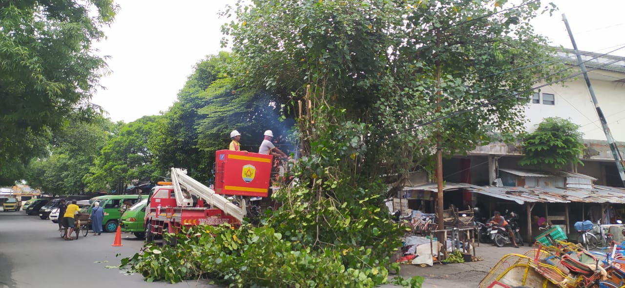 DIPANGKAS: Sejumlah ranting pohon dilakukan pemangkasan Dinas Pupr Grobogan.