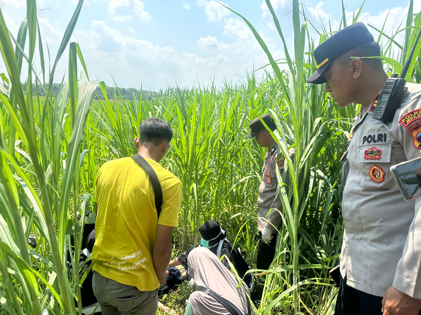 TKP: Pihak kepolisian tengah melakukan evakuasi terhadap korban dari area kebun.
