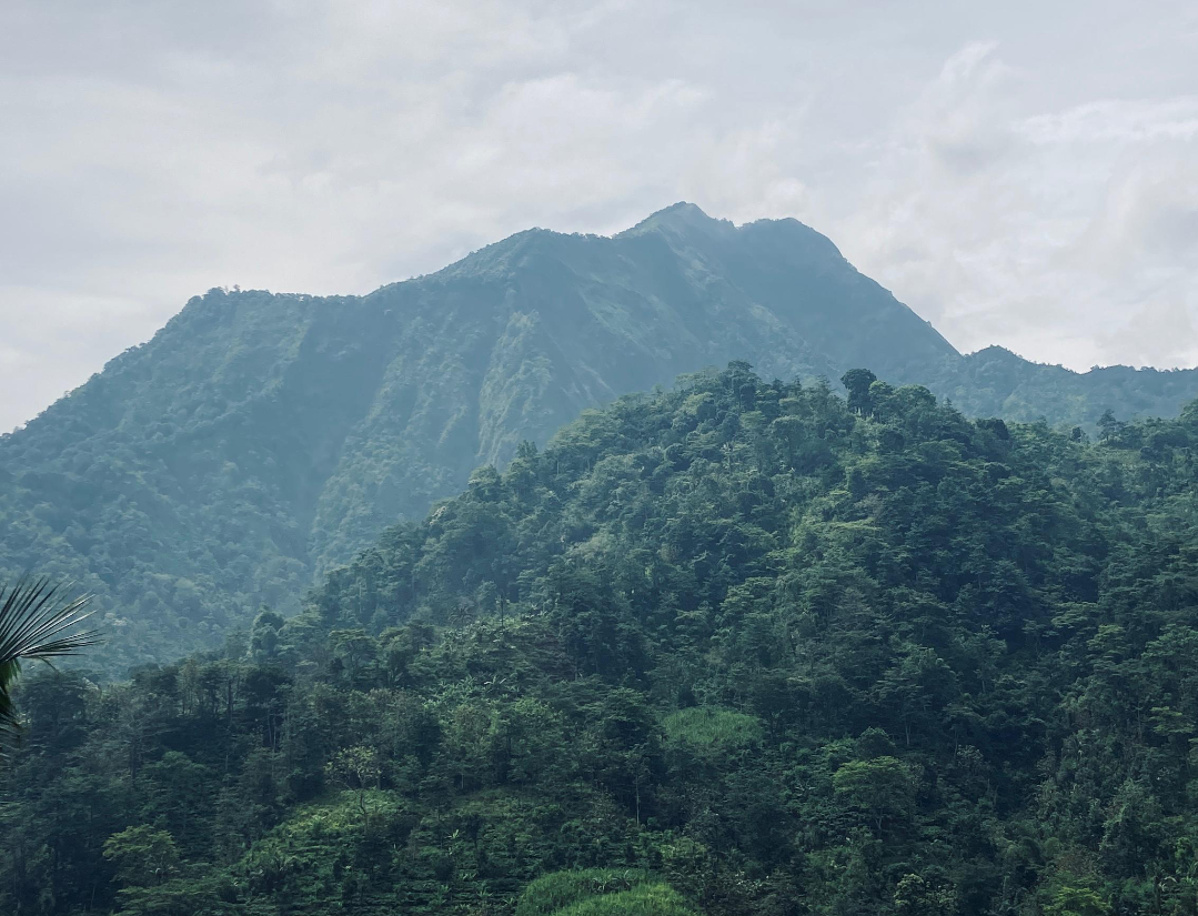 HIJAU: Penampakan lingkungan di kawasan Gunung Muria di Kecamatan Gebog, Kudus belum lama ini. (ANDIKA TRISNA SAPUTRA/RADAR KUDUS)
