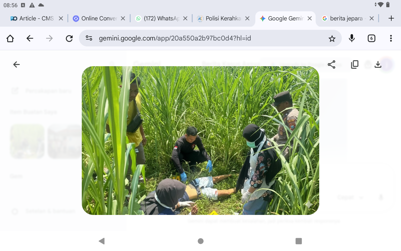 IDENTIFIKASI: Proses olah TKP oleh kepolisian penemuan mayat di Tubanan, Jepara.