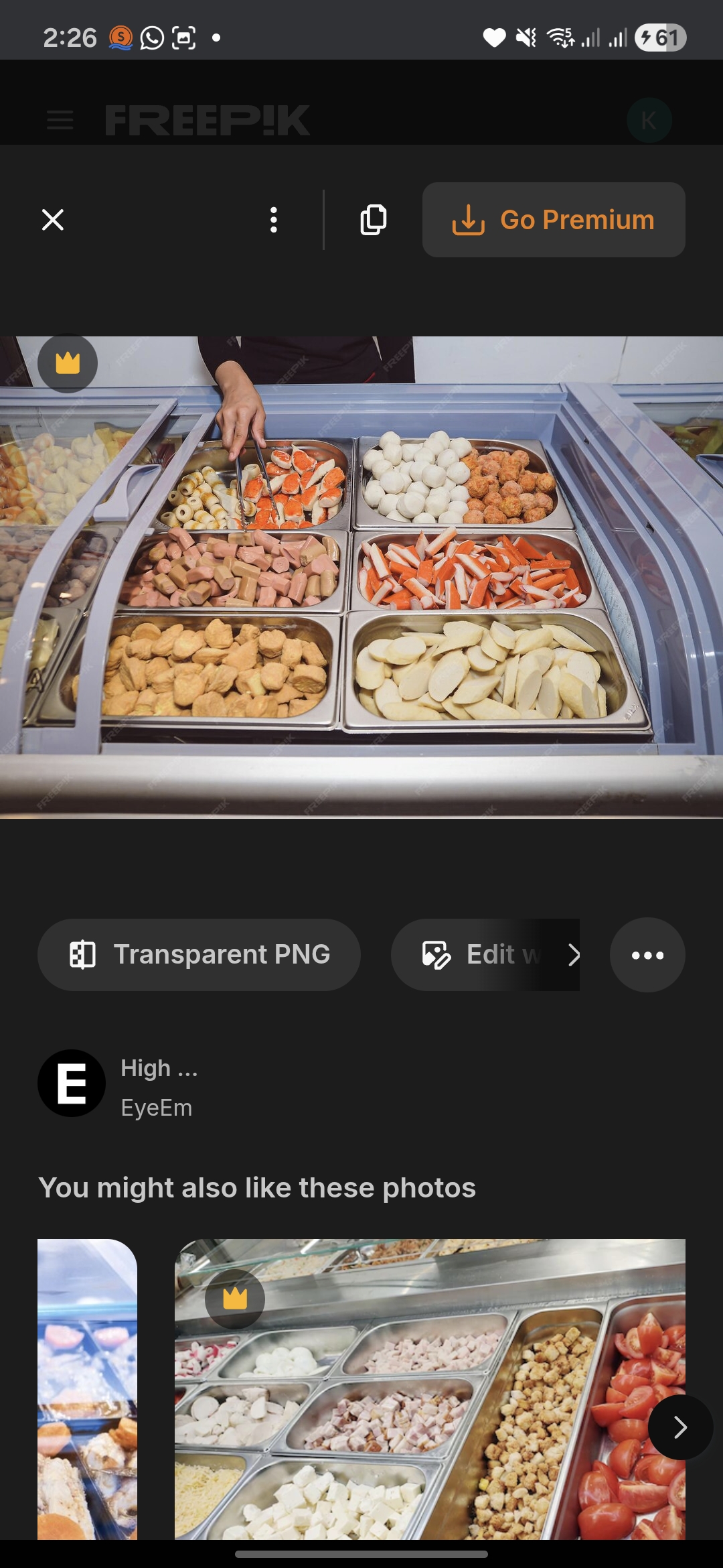 Ilustrasi Frozen Food