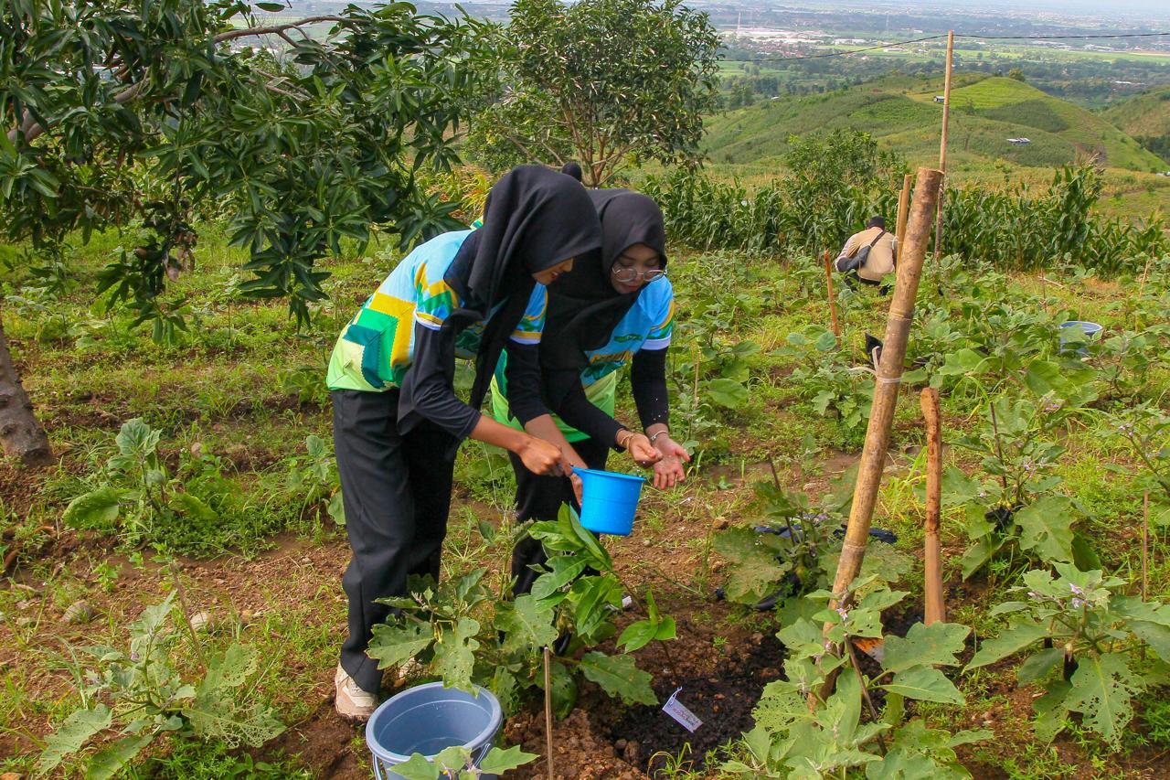 IKUT BERPERAN: Sejumlah mahasiswa mengikuti program penanaman OAOT di Patiyam.