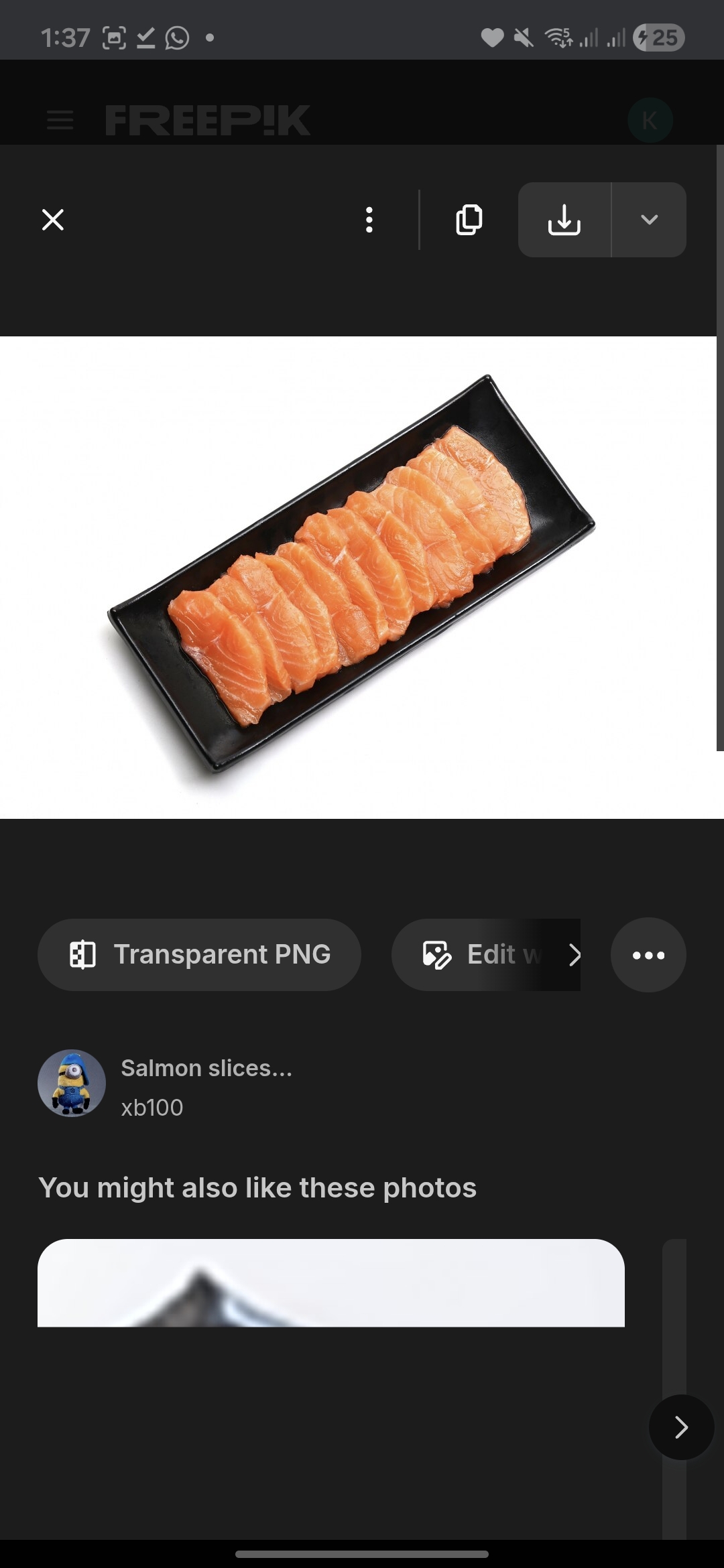 Ilustrasi daging salmon