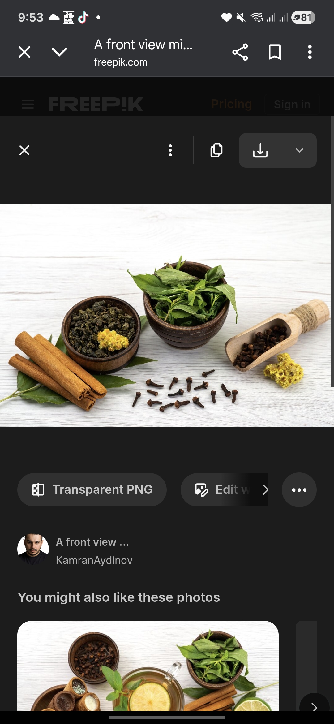 Ilustrasi Obat Obatan Herbal