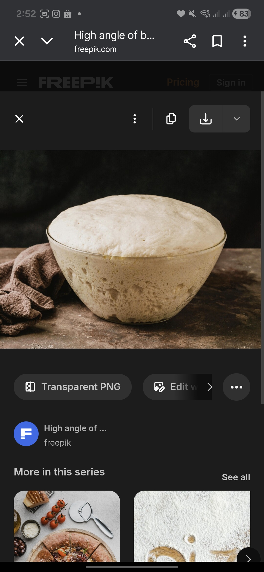 Ilustrasi Starter Sour Dough