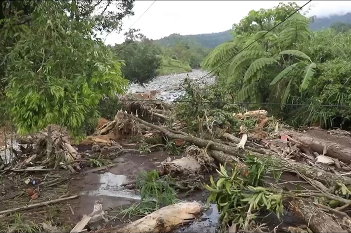 Salah satu dampak banjir bandang di Sumatera Barat. Kayu-kayu berserakan, memunculkan dugaan pembalakan liar.