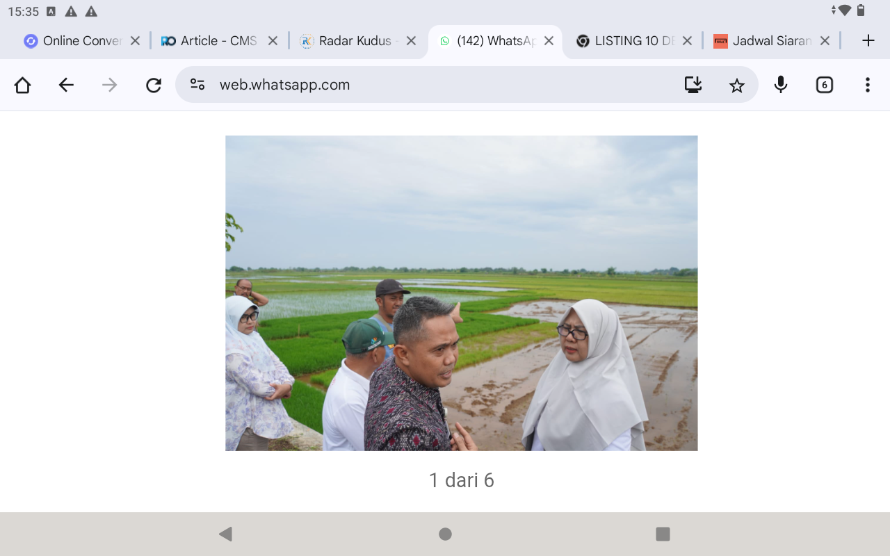 CEK: Kepala Bagian Perekonomian dan SDA Setda Jepara, Ferry Yudha Adhi Dharma Raharjo bersama Badan Riset dan Inovasi Nasional (BRIN) meninjau langsung lahan padi biosalin di Desa Suwawal,