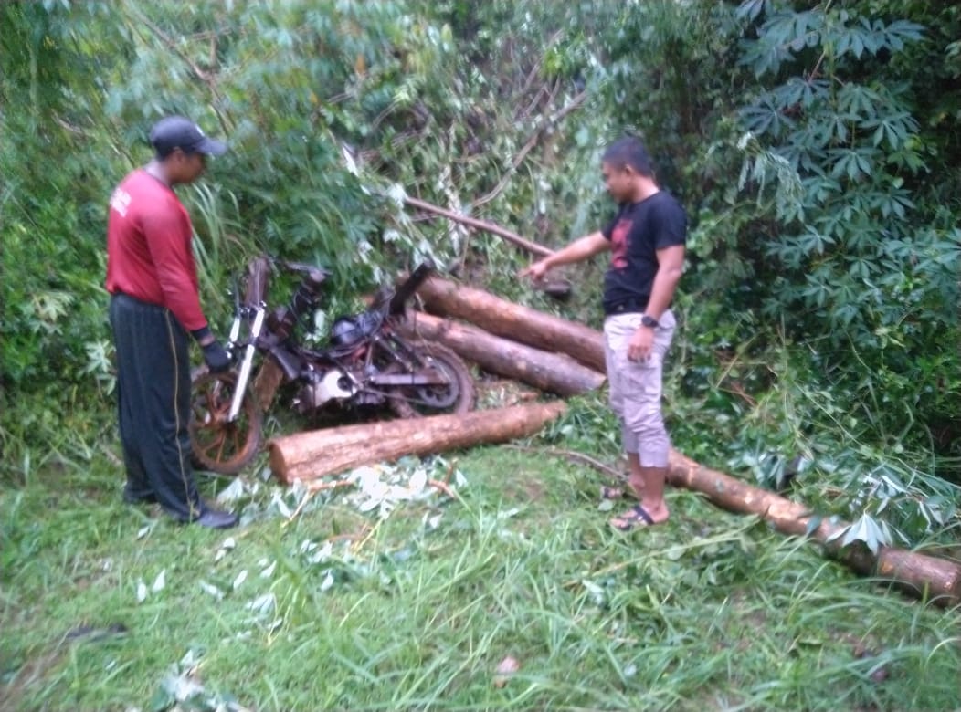 BENTURAN KERAS: Ojek pengangkut kayu jati, Arip Widodo (35), warga Desa Blingoh, Kecamatan Donorejo, Kabupaten Jepara,  meninggal dunia setelah sepeda motor yang dikendarainya terjatuh.