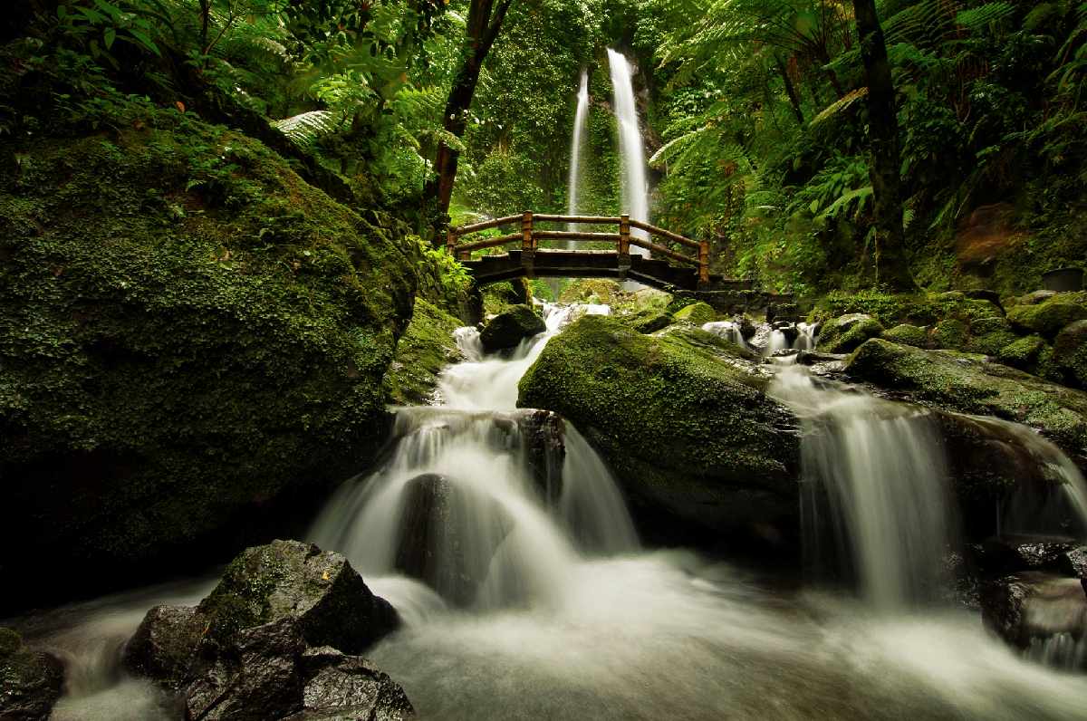 Air Terjun Jumog