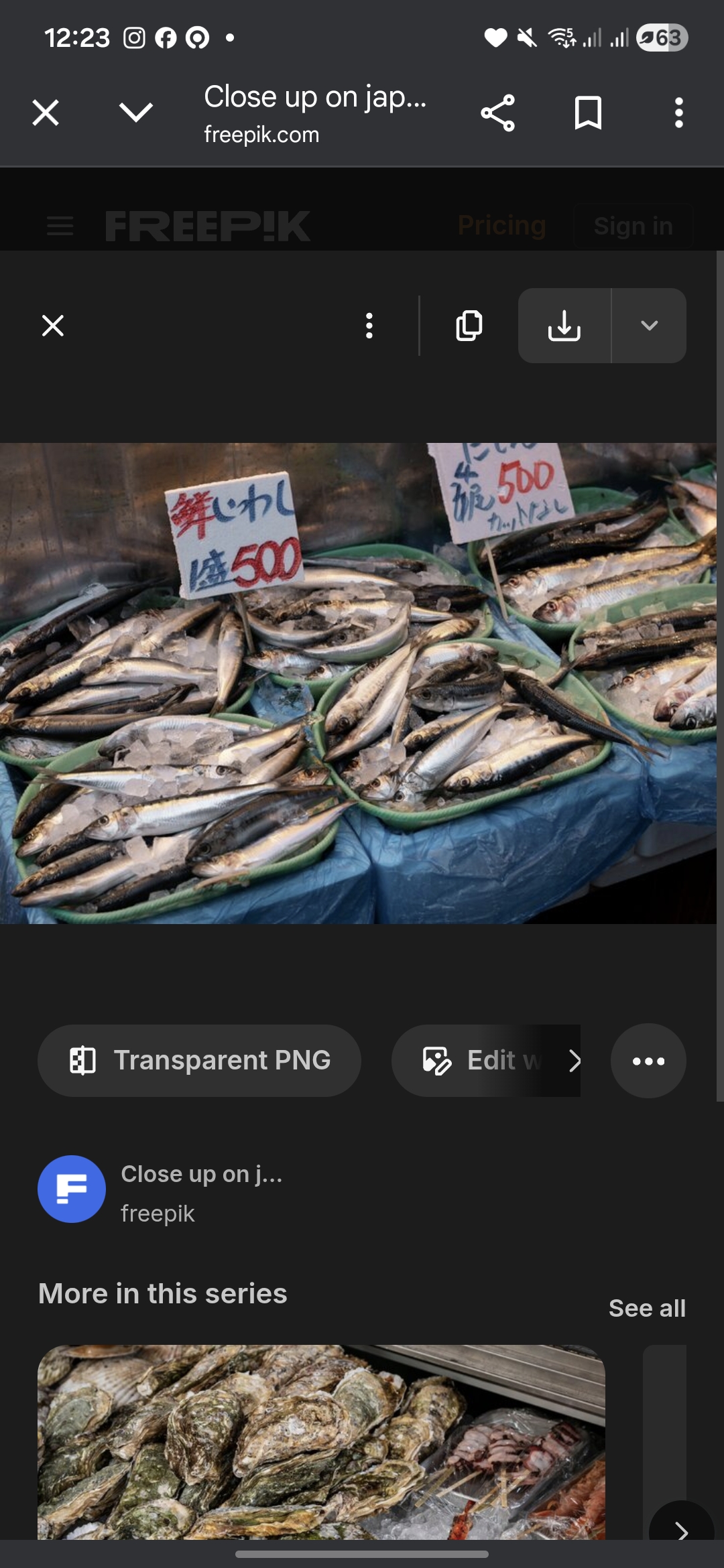 ilutrasi ikan
