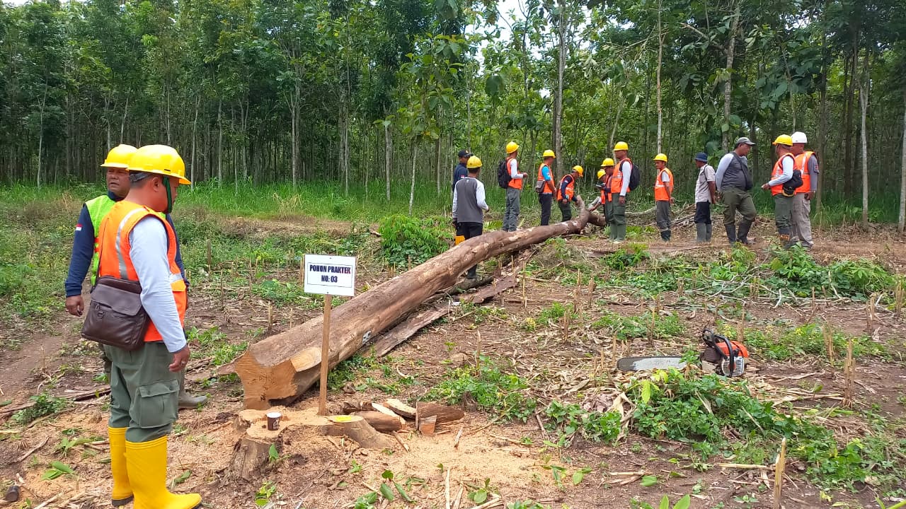 TEBANGAN AWAL TAHUN &ndash; Karyawan Perhutani lakukan penebangan awal Tahun 2026 di BKPH Tumpuk, Selasa (7/1)