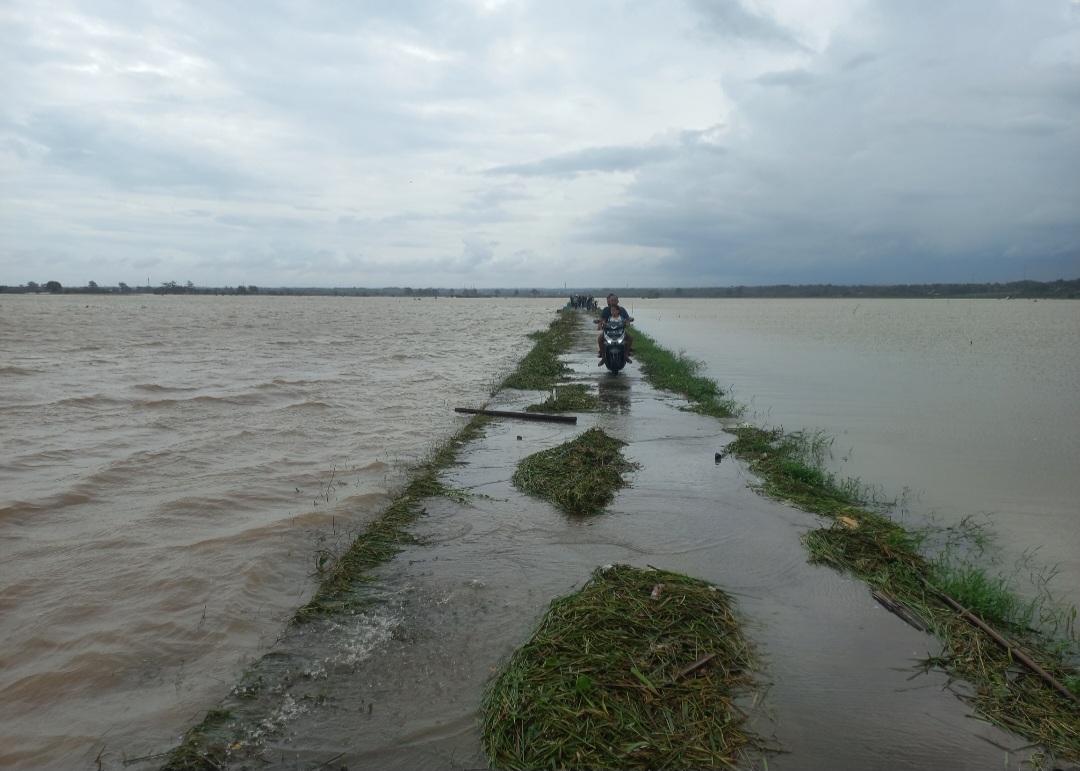 TAK TERLIHAT: Kondisi area persawahan di Desa Batukali Kecamatan Kalinyamatan yang masih tergenang banjir pada Kamis (15/1).