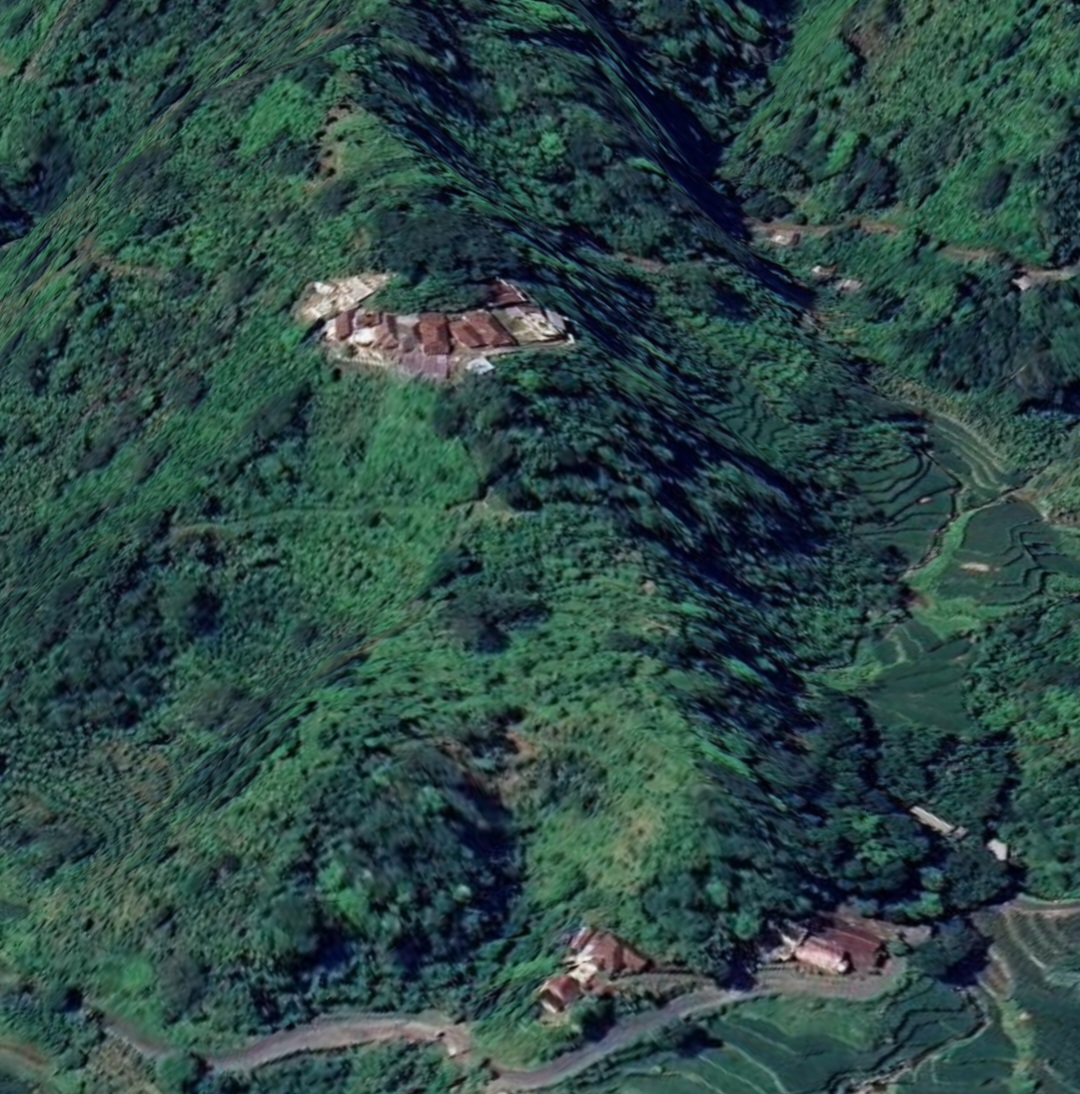 HILANG: Kondisi hutan Kawasan Muria yang terus hilang imbas perluasan kebun kopi, berdasarkan pantauan citra satelit.
