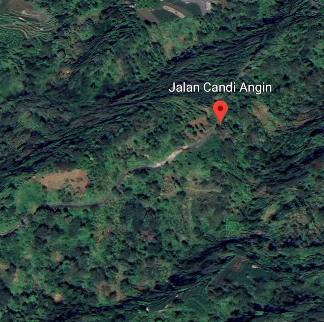 MEMUDAR: Pohon konservasi tampak semakin berkurang di area jalur pendakian.