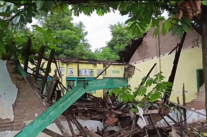ROBOH: Bangunan di SDN Sambirejo 02, Tlogowungu ambruk kemarin.