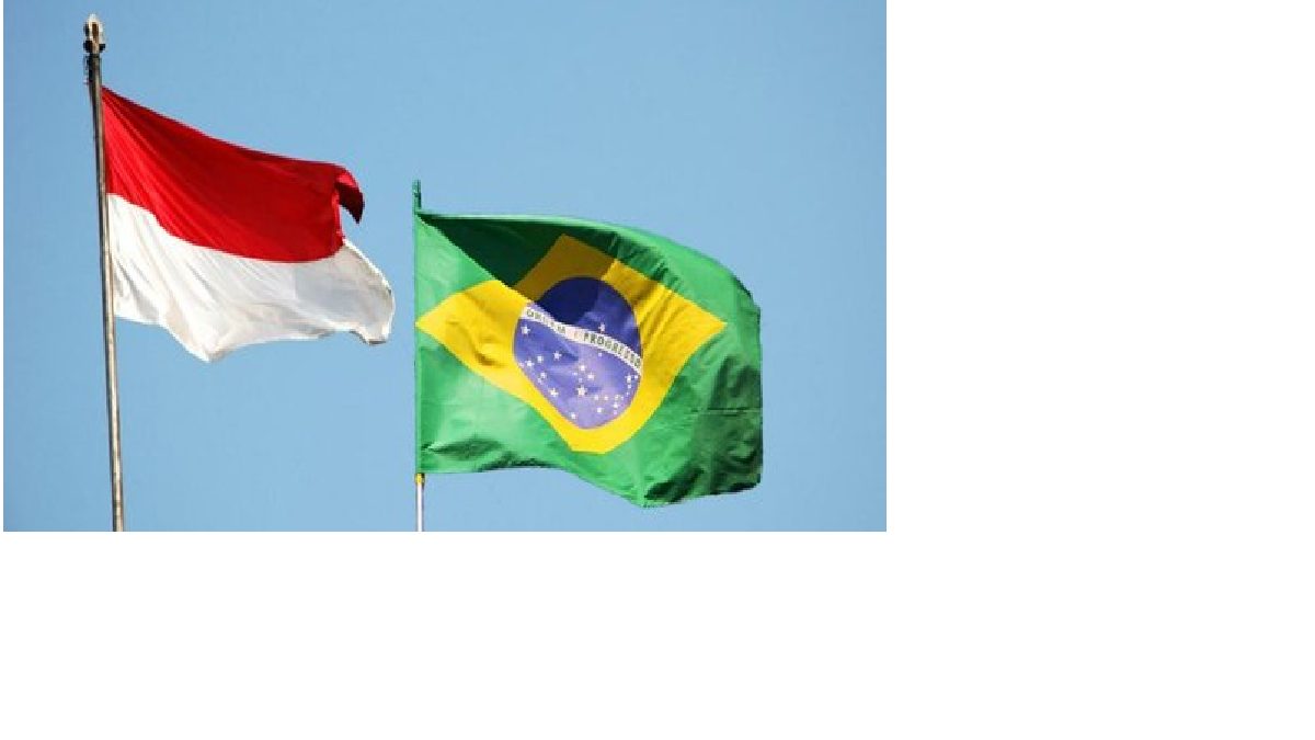 Kerja Sama Bilateral Indonesia&ndash;Brasil: Potensi Strategis di Bidang Ekonomi, Politik, dan Pangan