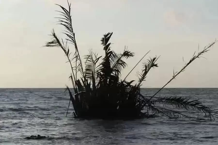 Penampakan buyuk di Pantai Jepara