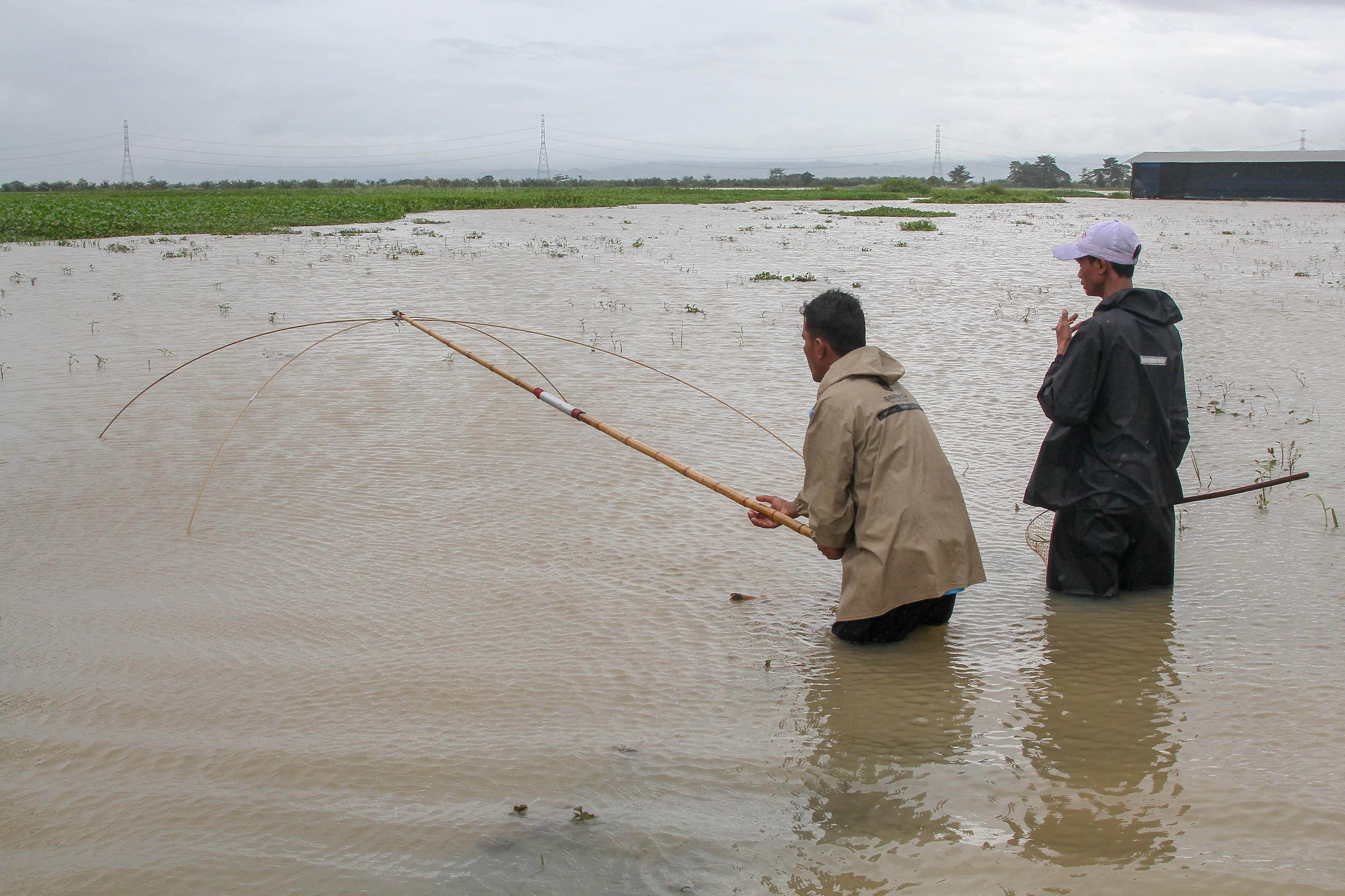 DIDATA: Warga mencari ikan di lahan pertanian di Desa Bulung Cangkring yang terendam banjir.