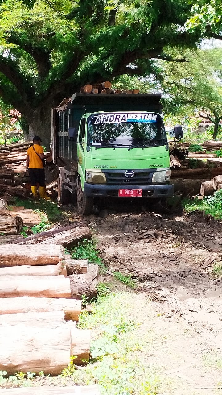 ANGKUT KAYU &ndash; Truk dengan Nopol warna merah digunakan untuk mengangkut kayu tebangan di wilayah KPH Purwodadi,
