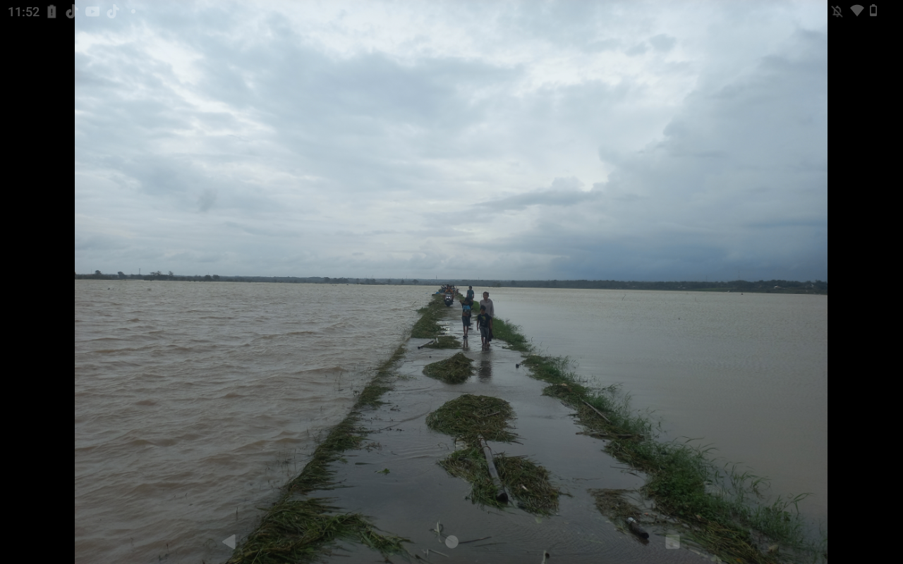TERENDAM: Sawah warga Jepara terancam gagal panen akibat banjir.