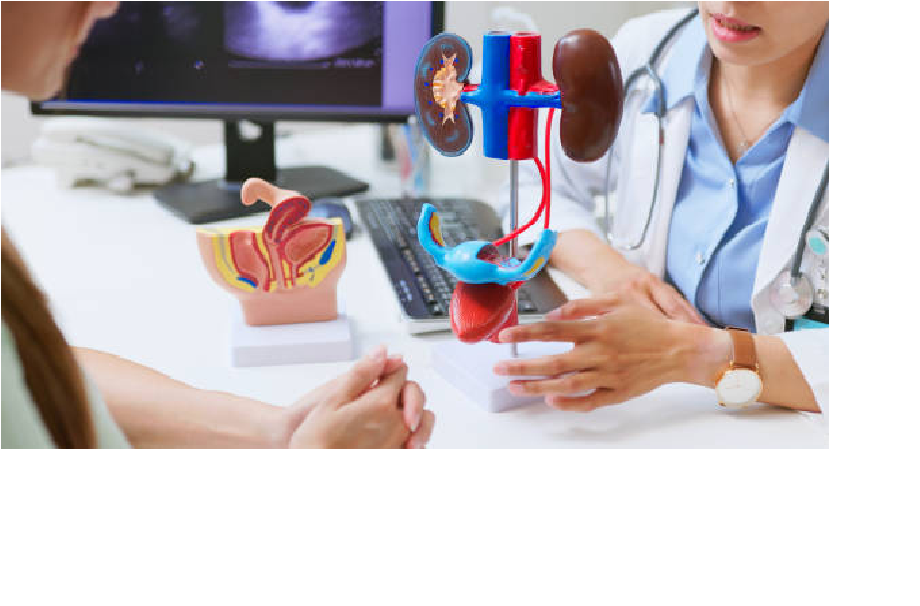 ilustrasi ginjal (cr:ponywang)