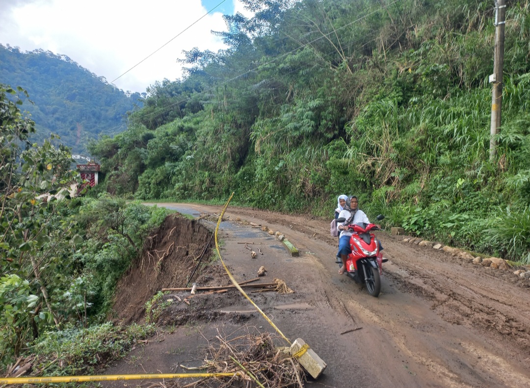RAWAN: Kondisi jalan menuju Desa Tempur yang rawan untuk dilewati.