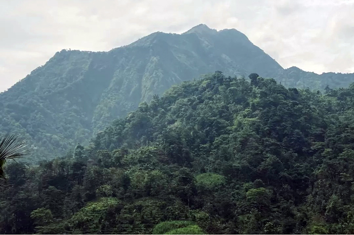 BertumbuhHIJAU: Penampakan lingkungan di kawasan Gunung Muria di Kecamatan Gebog, Kudus.