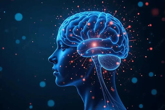 Ilustrasi otak manusia&nbsp; (Dok. pngtree)