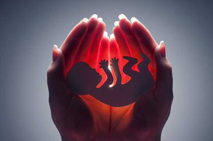 Ilustrasi janin. (&copy;Shutterstock.com/Smit)