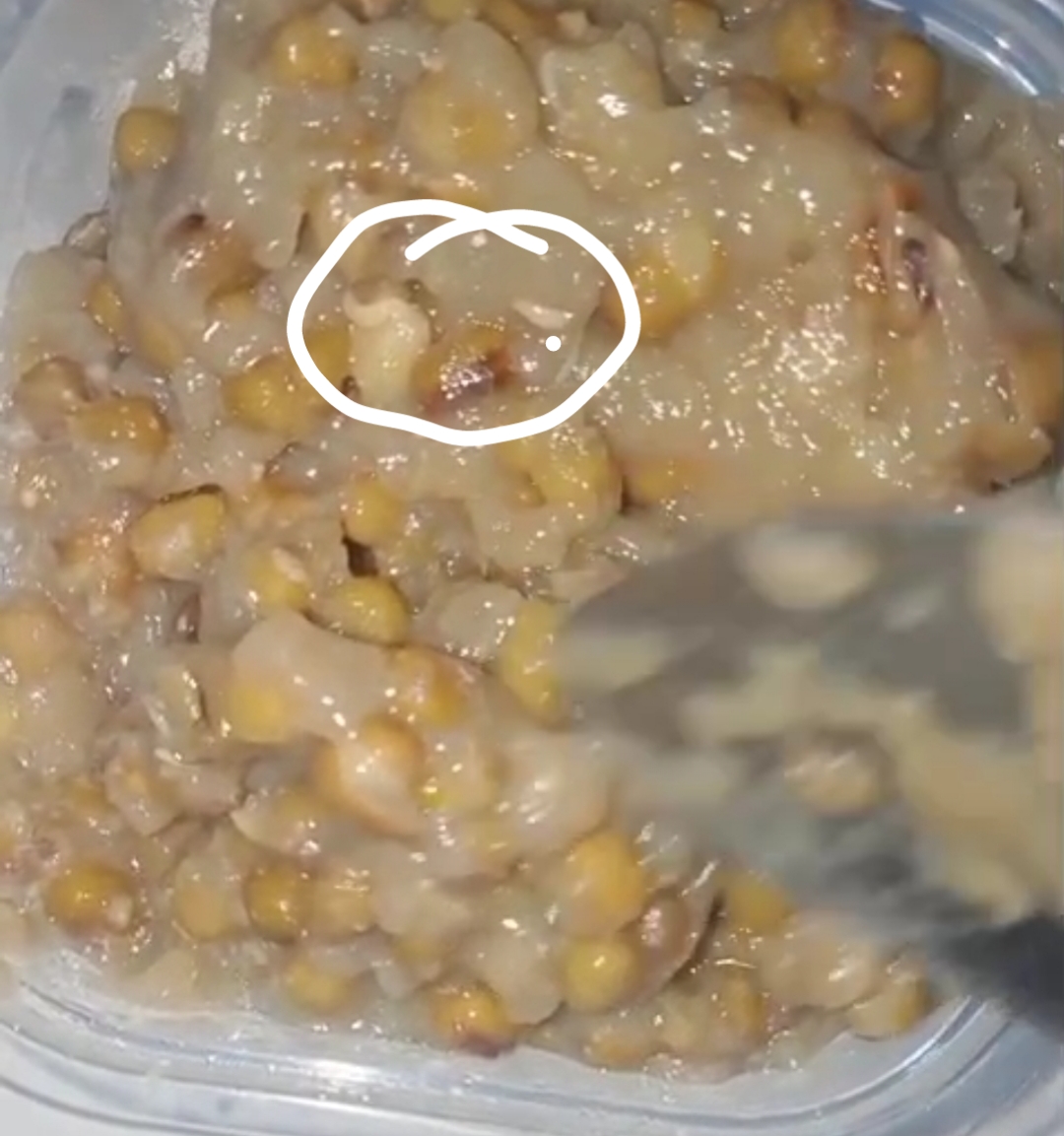 DIPROTES: Menu bubur kacang hijau diduga berbelatung di Lasem menui protes keras