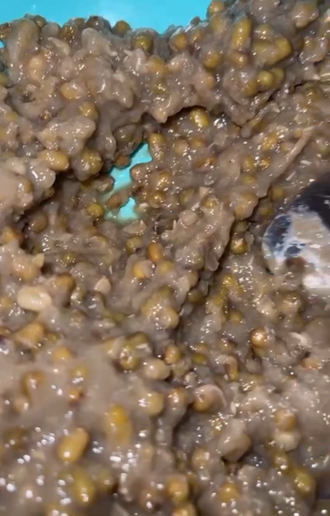 KLARIFIKASI: SPPG Lasem memberikan klarifikasi terkait dugaan menu bubur berbelatung. 