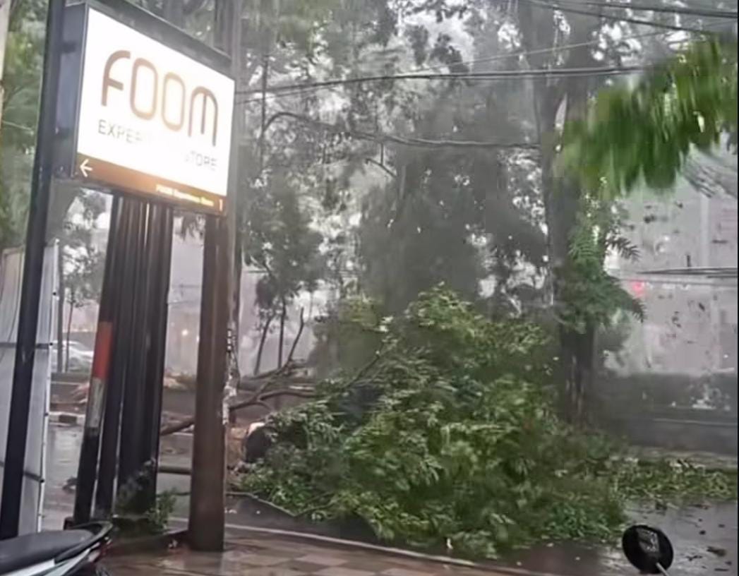 Pohon tumbang akibat hujan dan angin kencang mengakibatkan pohon tumbang di beberapa titik Kota Semarang (Foto: instagram @kejadiansmg)