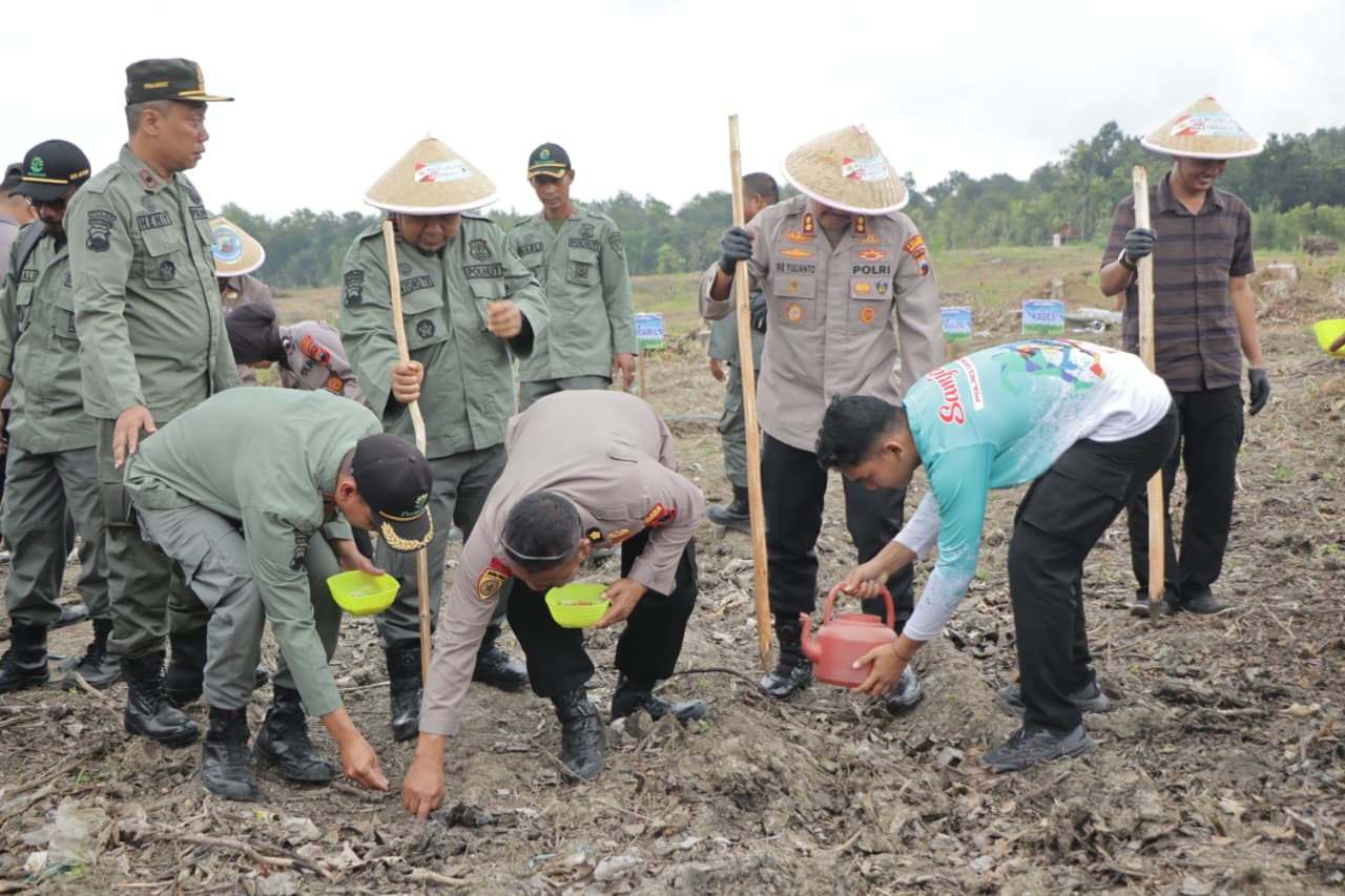 TANAM JAGUNG &ndash; Kapolres Grobogan AKBP Ike Yulianto melakukan penanaman jagung di lahan Perhutani di Desa Sumberjatipohon, Kecamatan Grobogan. 