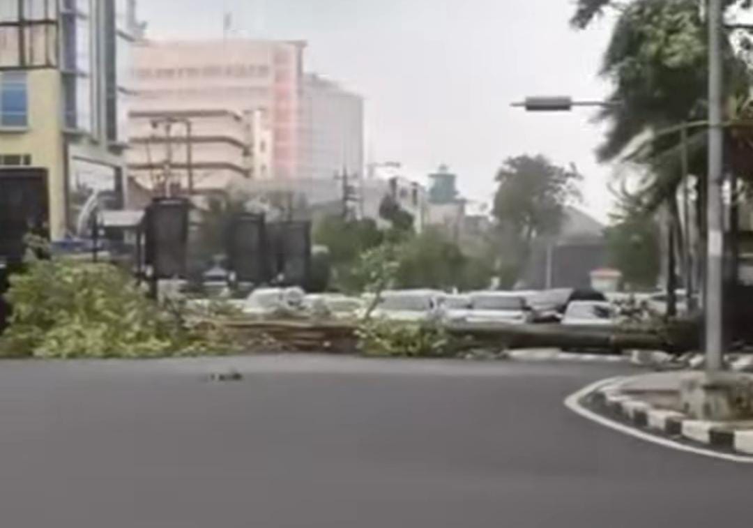 Pohon tumbang di Jalan Gajahmada (Foto: tangkapan layar instagram @kejadiansmg)