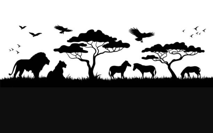 Ilustrasi hewan satwa 