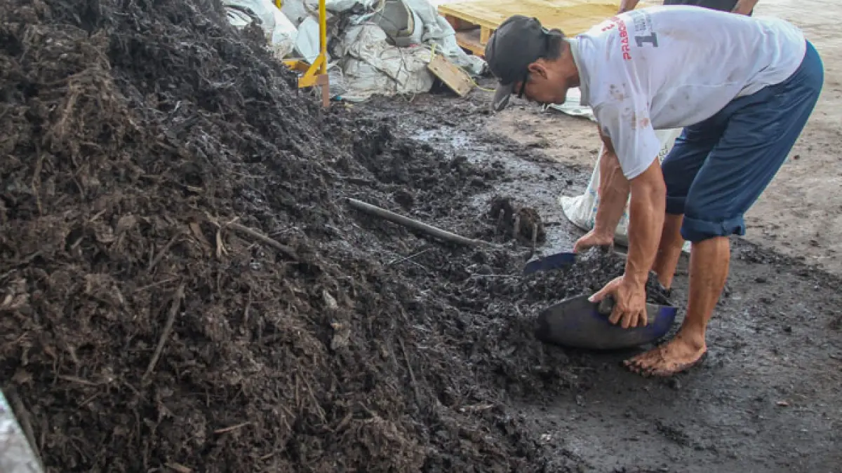 HASIL PENGOLAHAN: Warga mengambil pupuk organik hasil pengolahan sampah organik di PPO.
