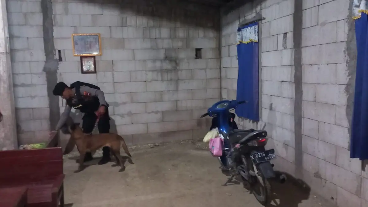 CEK LAPANGAN – Anggota Sat Sabhara Polres Grobogan bersama anjing pelacak K9 lakukan sterilisasi lokasi tempat kejadian mercon meledak di Desa Ngraji, Kecamatan Purwodadi. 