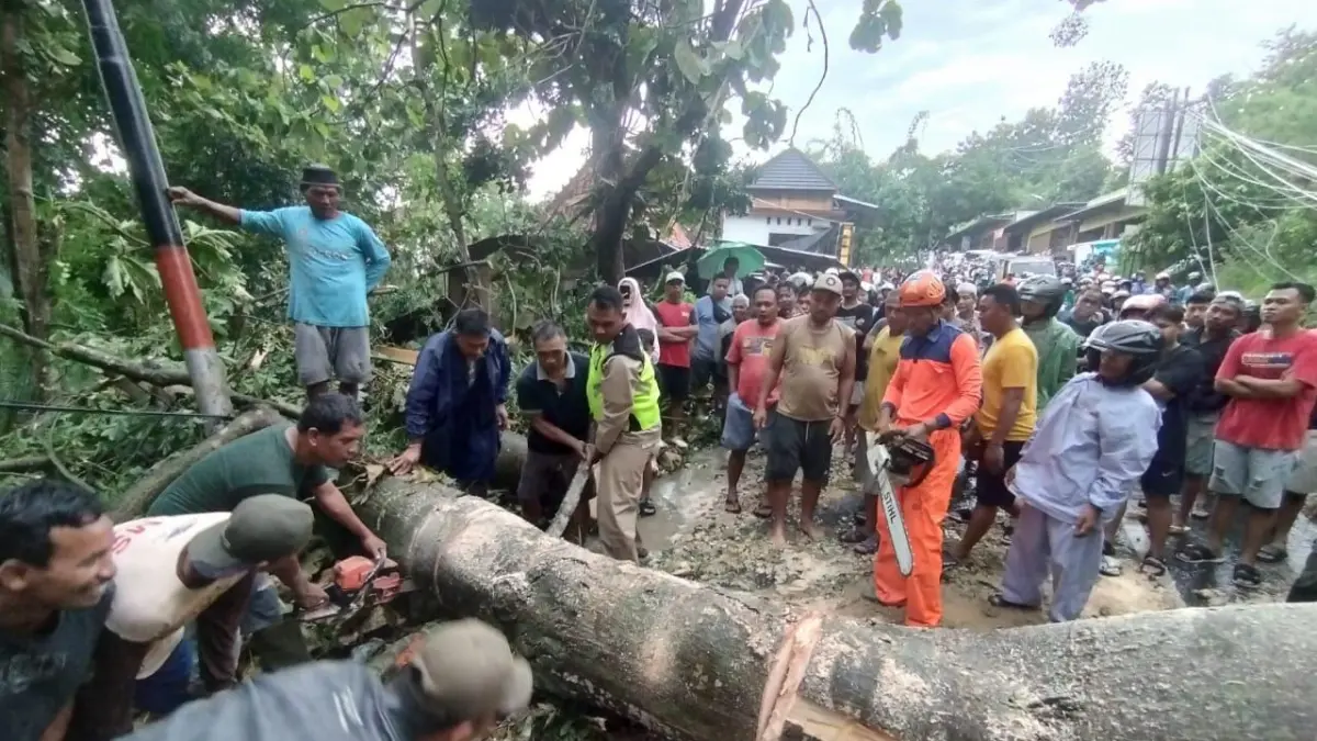 EVAKUASI: TRC BPBD Grobogan saat mengevakuasi pohon tumbang di Jalan Purwodadi-Pati. (Pusdalops BPBD Grobogan untuk Radar Kudus)
