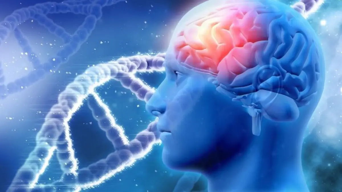 Ilustrasi otak (Foto: Freepik/kjpargeter)