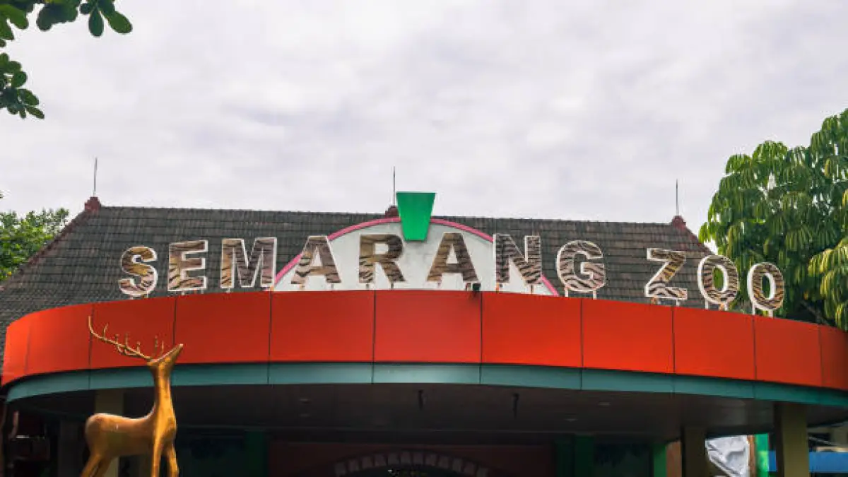 Semarang Zoom beri tiket khusus untuk sambut Hari Jadi Kota Semarang ke-479