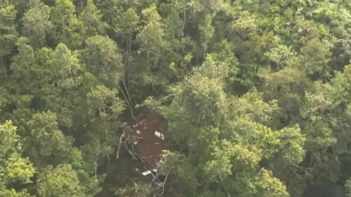 Tangkapan visul lokasi jatuhnya Helikopter Airbus H130 PK-CFX di Kalbar. (Basarnas)

