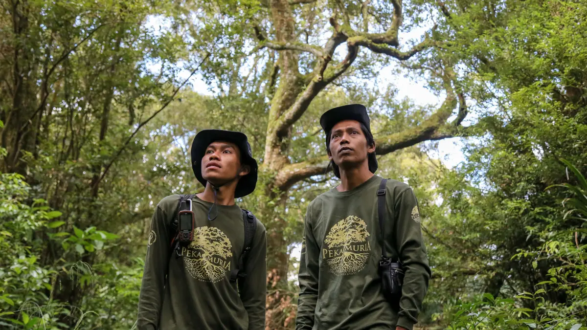 Anggota Peka Muria Aprilianto Rahayu (kanan) dan Muhammad Athoillah Daniswara (kiri) mengamati kondisi hutan usai memasang kamera trap di hutan Pegunungan Muria, Desa Colo, Kudus, Jawa Tengah, Sabtu (24/5/2026).